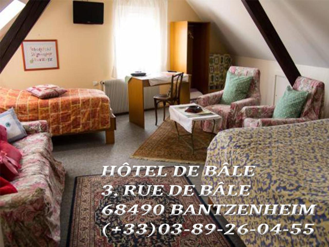 Hotel De Bale バンツェンハイム エクステリア 写真